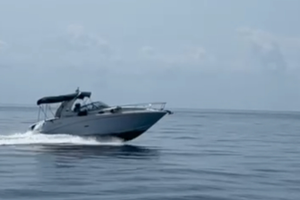 Sea ray 335 sundancer- Barca 10,40 mt - Natante