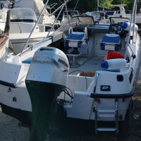 Barca rio 5 metri con motore 40 cv rol-bar tend