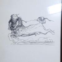 disegno di Salvatore Fiume