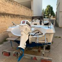 Barca motore e carrello omologato