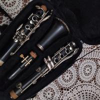 j Michael clarinetto 