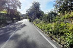 Terreno di 12634 m² a Palma Campania