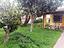 Immagine 25