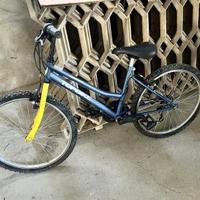 Bicicletta da ragazzo