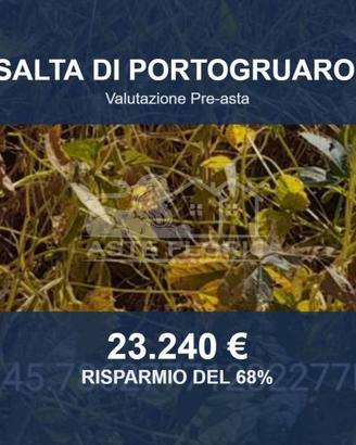 Immobile in asta di 16800 m² a Fossalta di Portogr