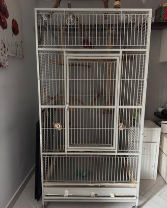 Voliera Montana  arkansas