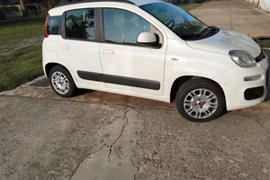 panda
