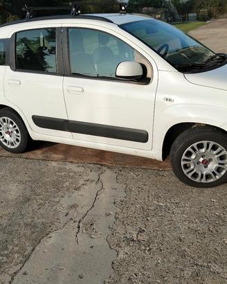 panda