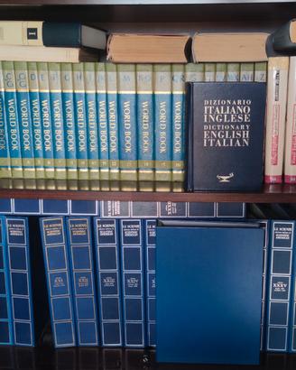 Lotto libri Le Scienze Istria Pittoresca Webster
