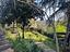 Immagine 26