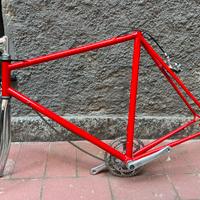 Telai bicicletta Shimano