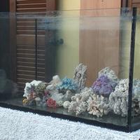 rocce per acquario marino