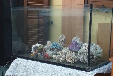 rocce per acquario marino