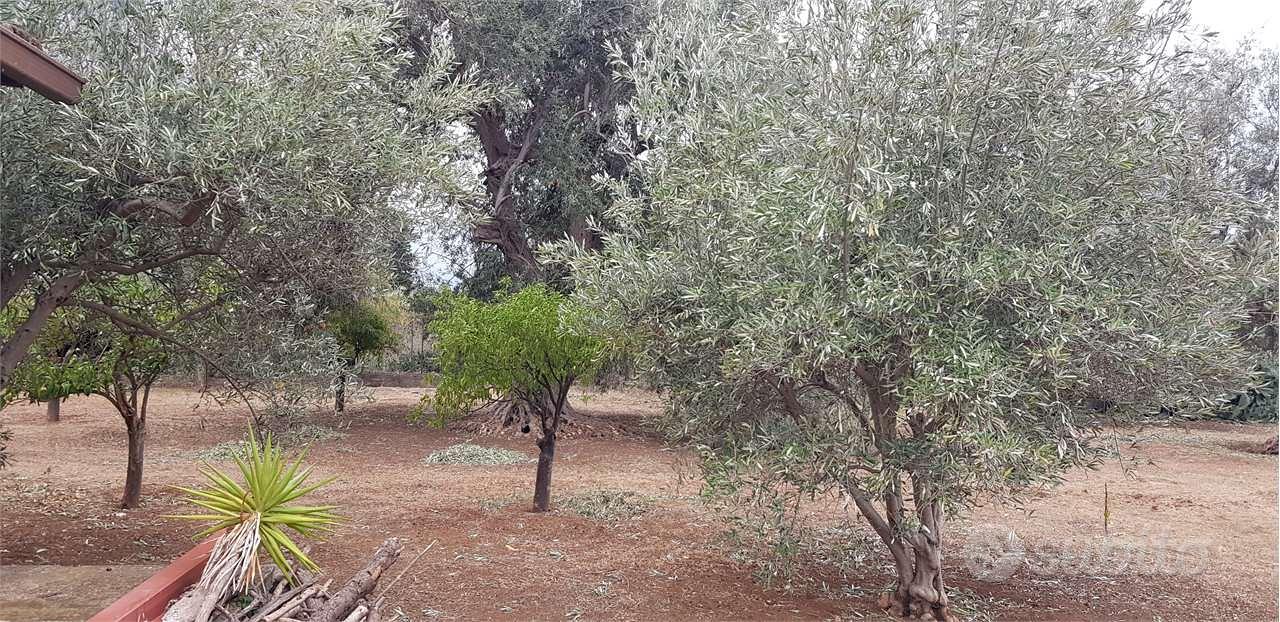 Terreno agricolo - Vista 5