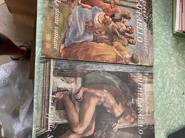 Raffaello e Michelangelo