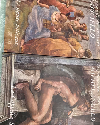 Raffaello e Michelangelo