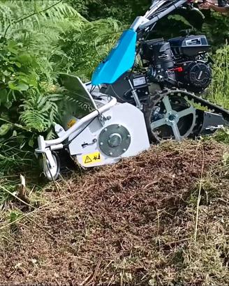 MotoTrincia Cingolata Bertolini BTS 100 TR UNICA