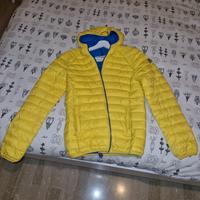Piumino invicta