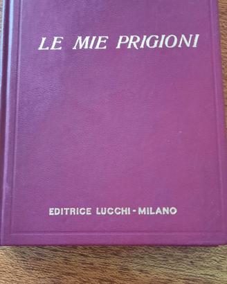 le mie  prigioni
