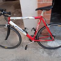 Bicicletta Fanini