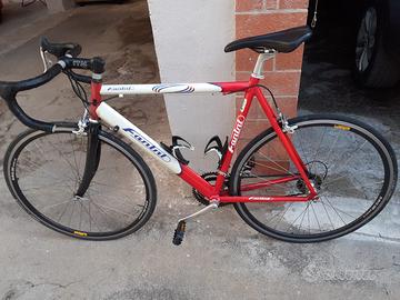 Bicicletta Fanini