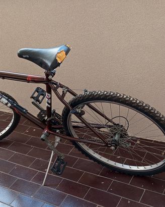 Mountain-bike da uomo