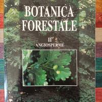 botanica forestale 