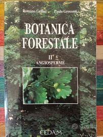 botanica forestale 