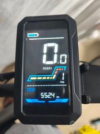 fat bike stebike