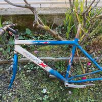 Gratis Telaio bici / MTB Galexx