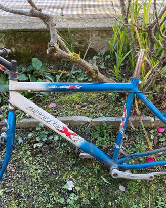 Gratis Telaio bici / MTB Galexx