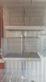 Gabbie da 65/60/55 cm con divisori 