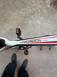 Bicicletta