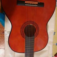 Chitarra EKO