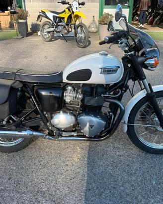 Triumph Bonneville T 100 - 2008