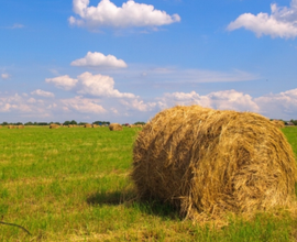 Terreno Agricolo in provincia di Cuneo