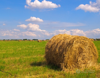 Terreno Agricolo in provincia di Cuneo