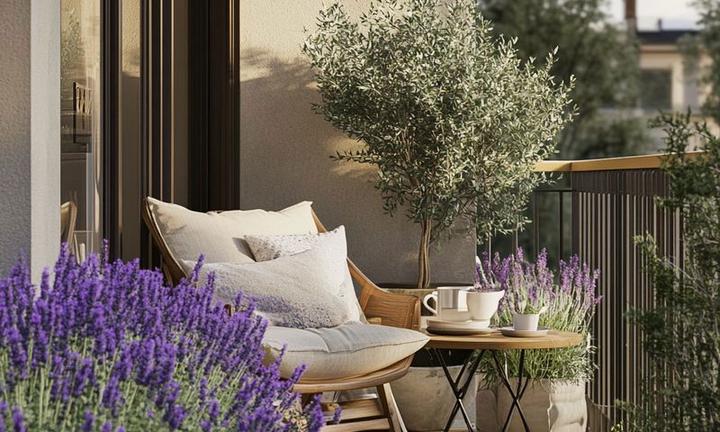 Appartamento Bologna [NC-B12V/RDVRG]