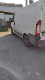 Ducato