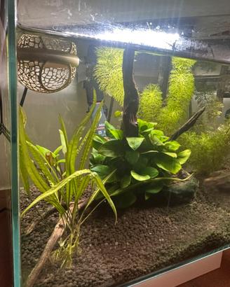 Acquario Newa 18 litri