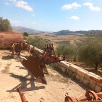 Aratro Gherardi 2 vomere