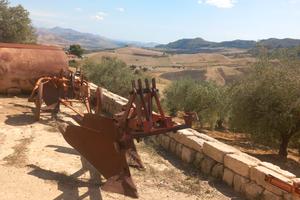 Aratro Gherardi 2 vomere