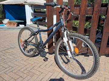 Mountain bike