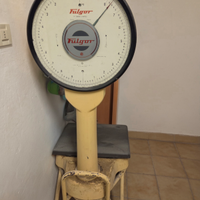 Bilancia portata 60 kg fulgor