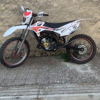 Beta rr 50 (86)