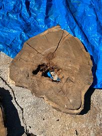 Lotto 17 rondelle di legno