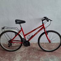 Bicicletta rossa