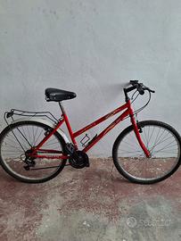Bicicletta rossa