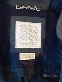 giubbino geox