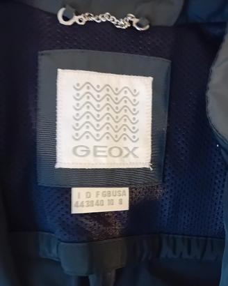 giubbino geox